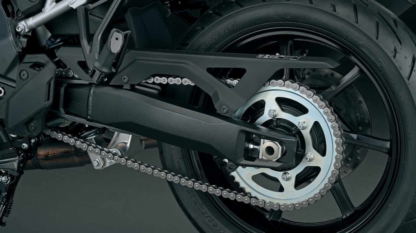 V-STROM_800SE_swingarm