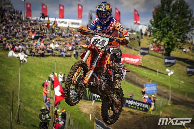 herlings